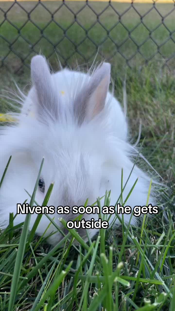 @NivensEats