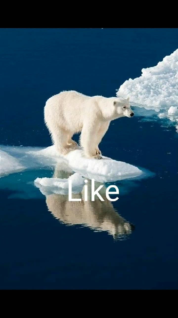 @TIKTOKER