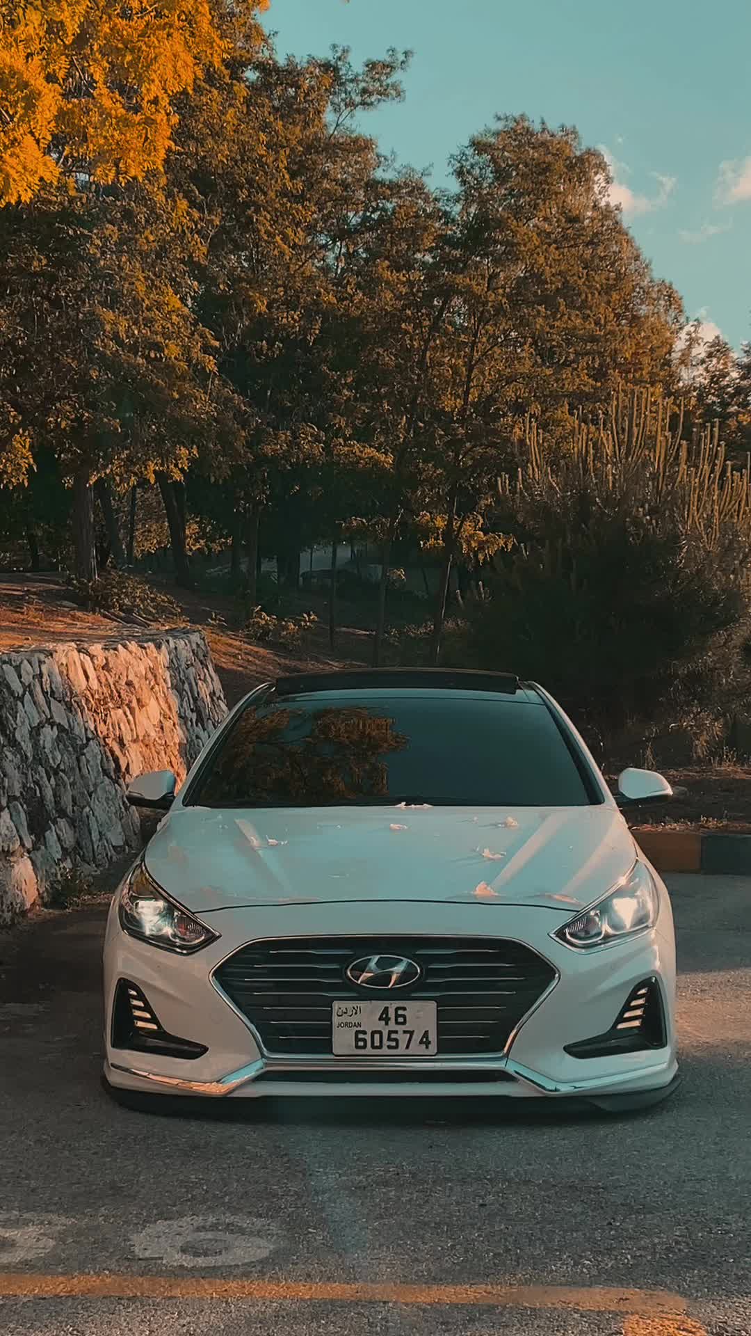 @لورنس الخلايلة 🦅