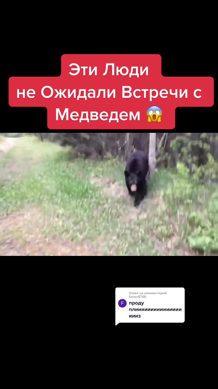@Живность