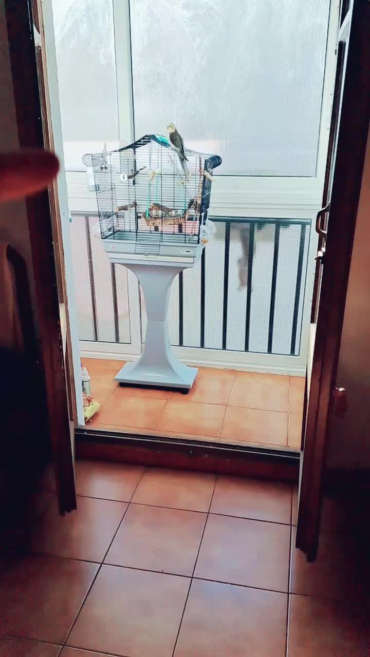 @Katy,Kyra,Jhonny,Lima,Chiqui