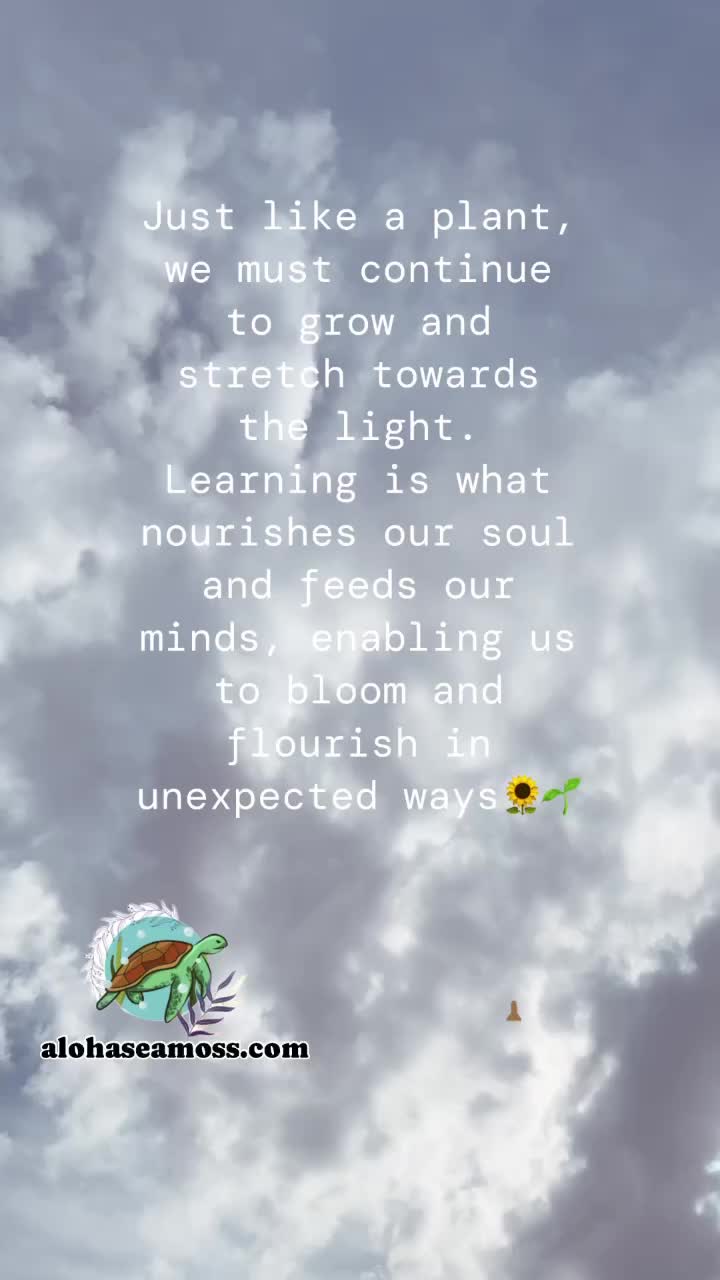 @Aloha.Seamoss