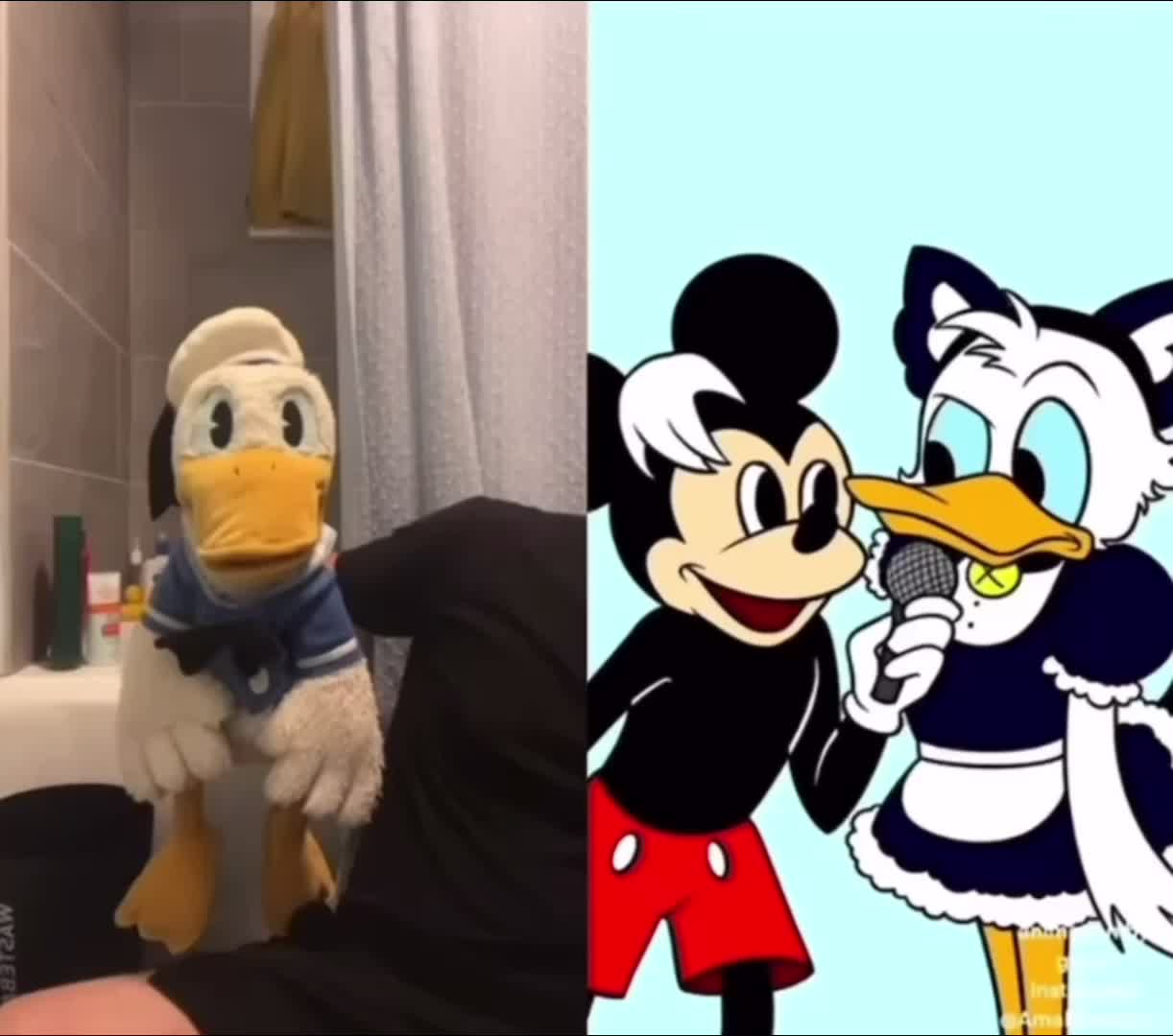 @DonaldDucc Archive ✅