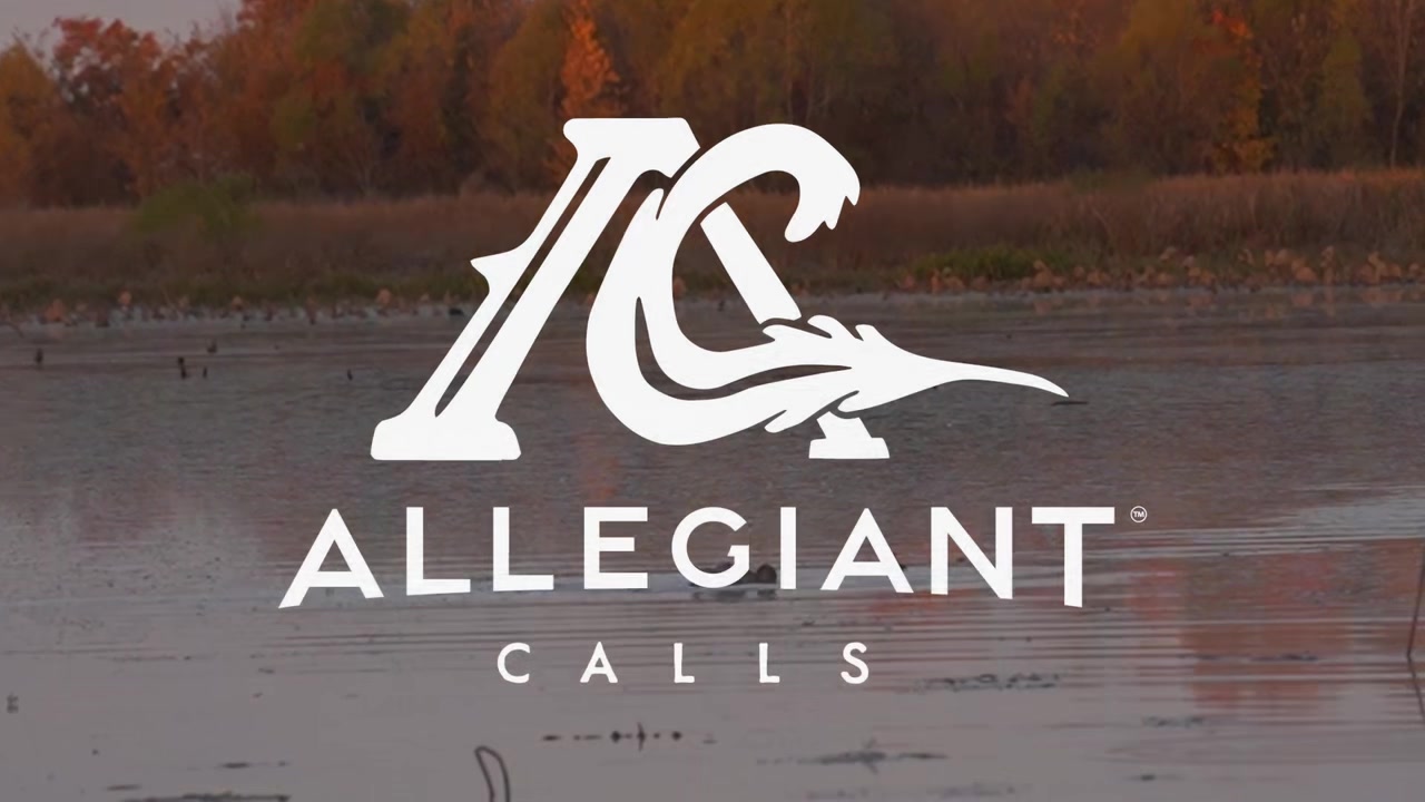@Allegiant Calls
