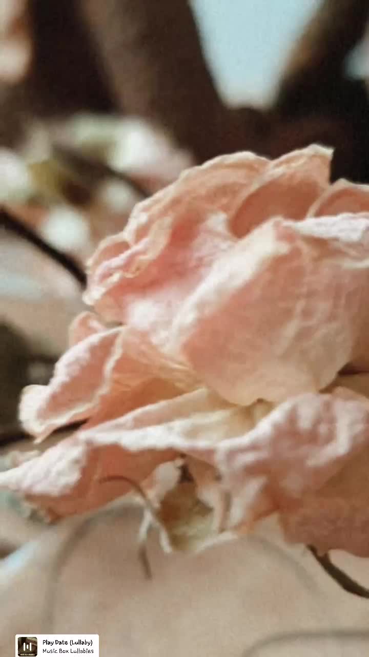 @Нина