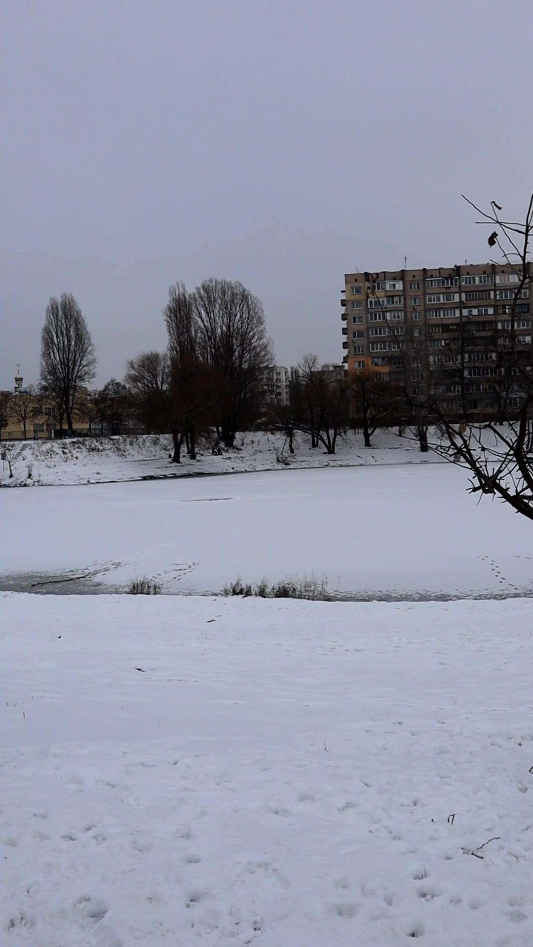 @Dachnick_Ukraine