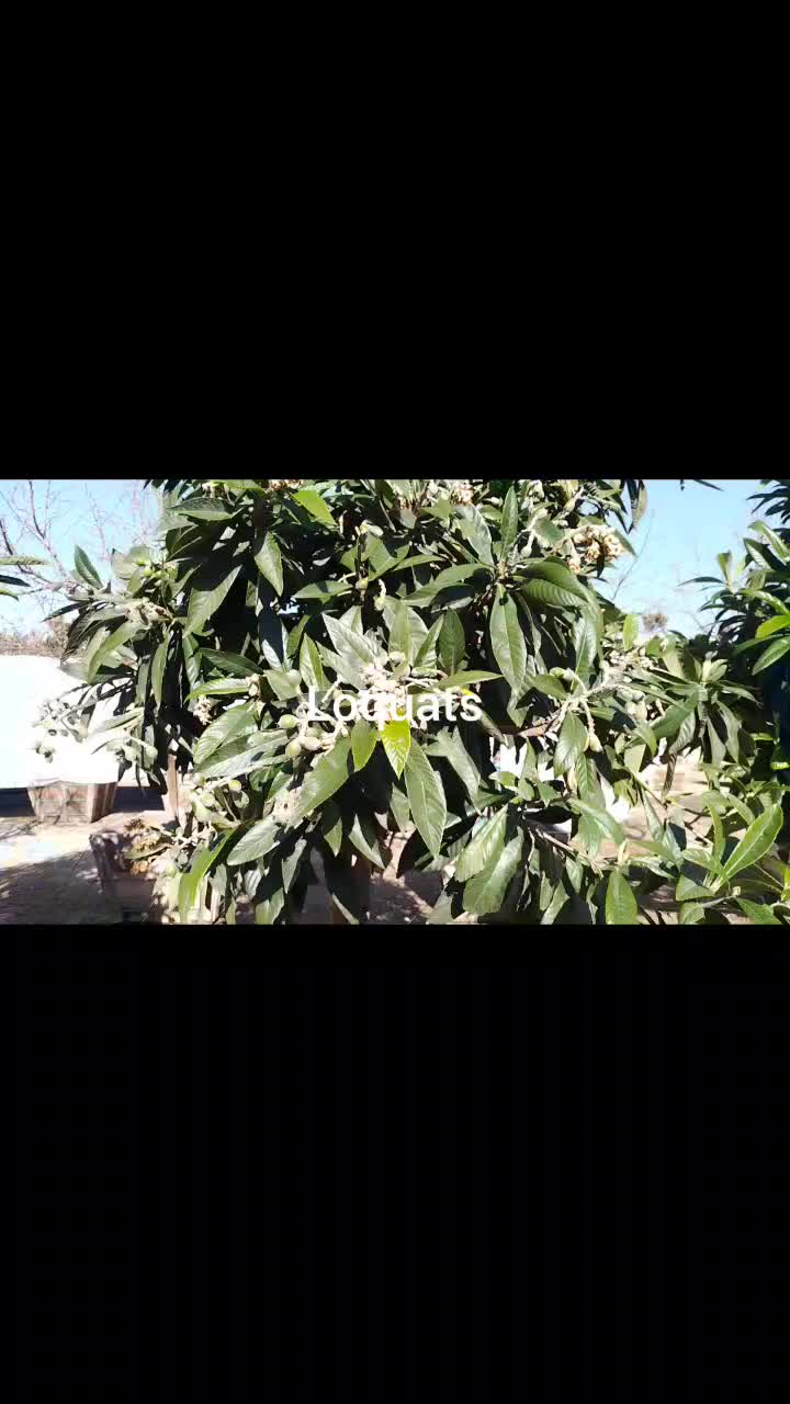 @IngredientBasics