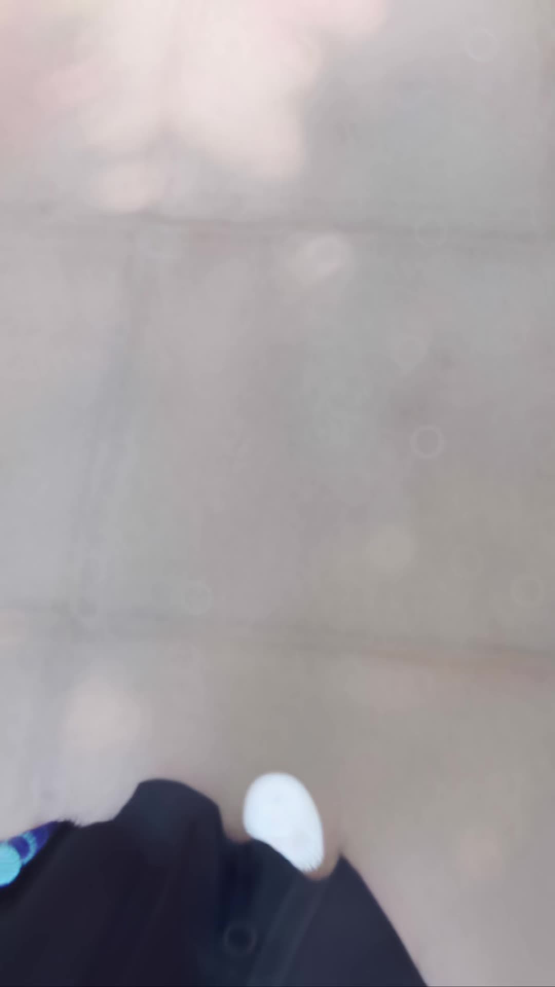 @𐌔 𐌵 𐌌 𐌌 ı 🇨🇦🍁