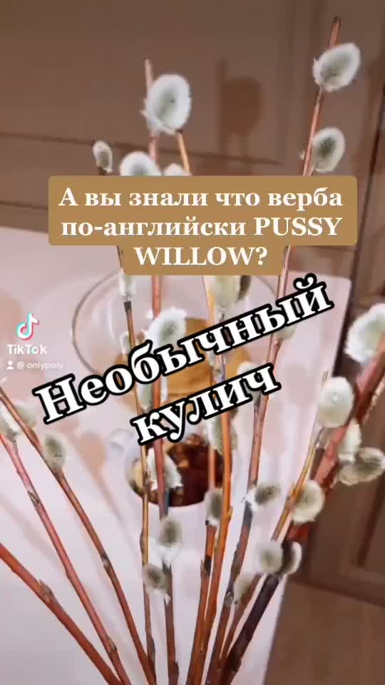 @Полина Горская