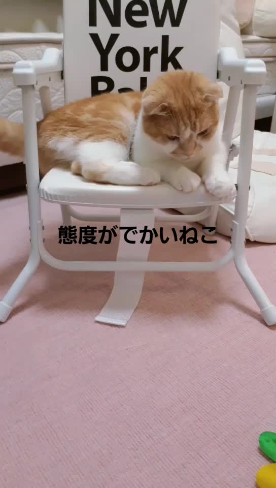 @fuuko.0324
