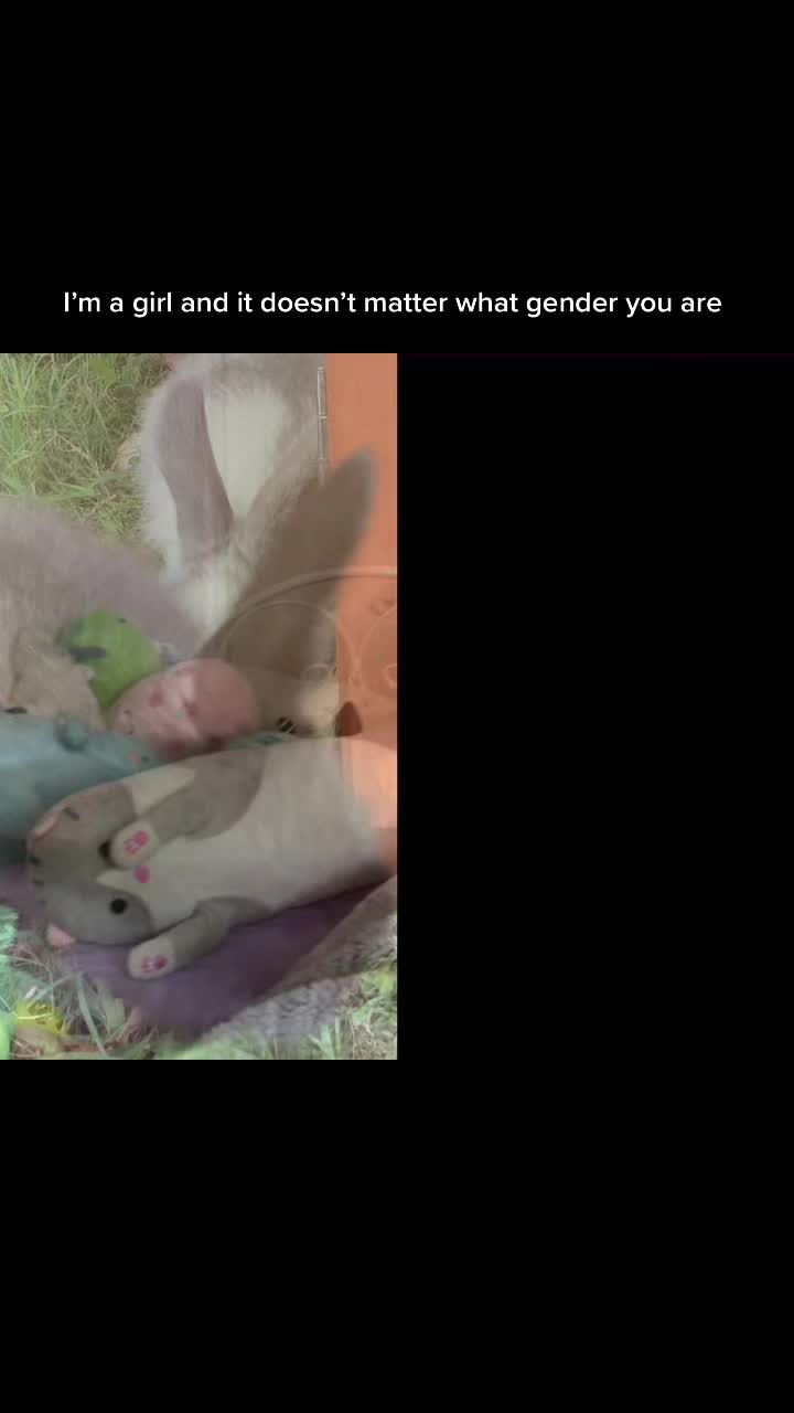 @Bunnie