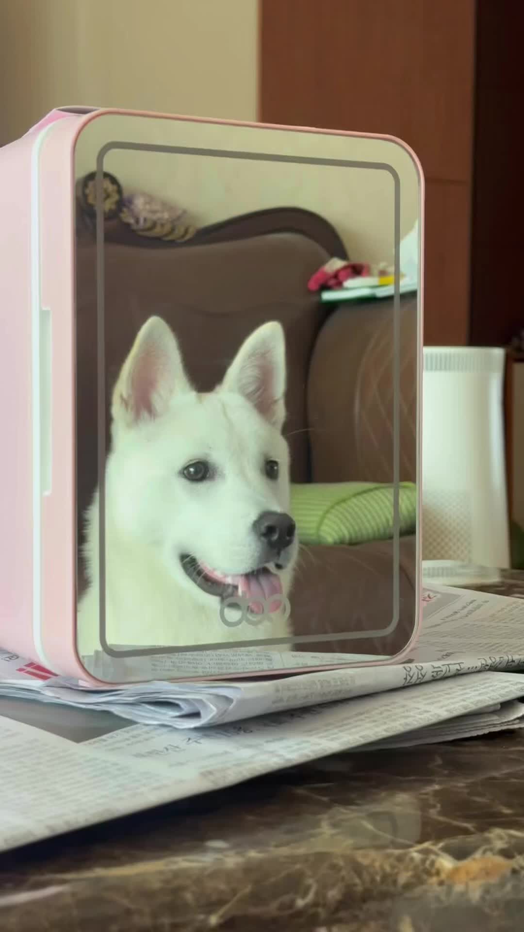 @Cute_Puppy_01
