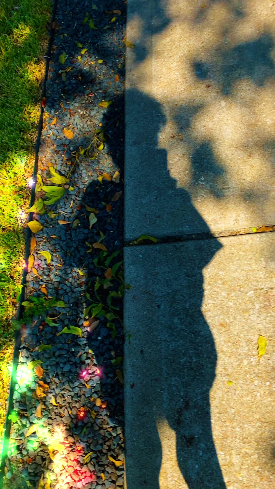 @💕🦴