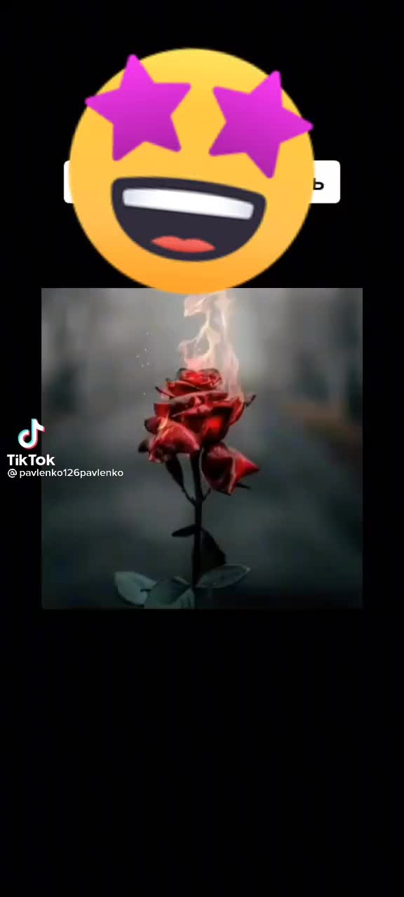@тиро хамэлэс🌚🥀