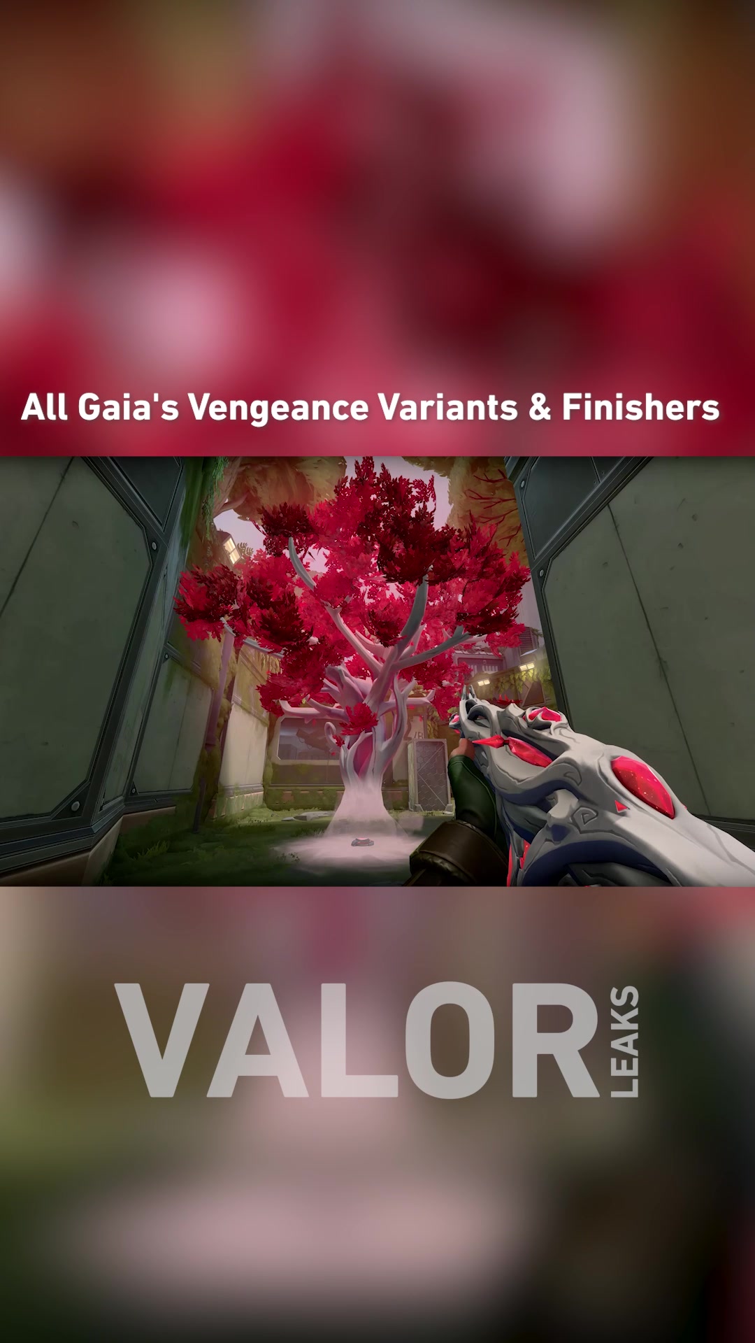 @ValorLeaks