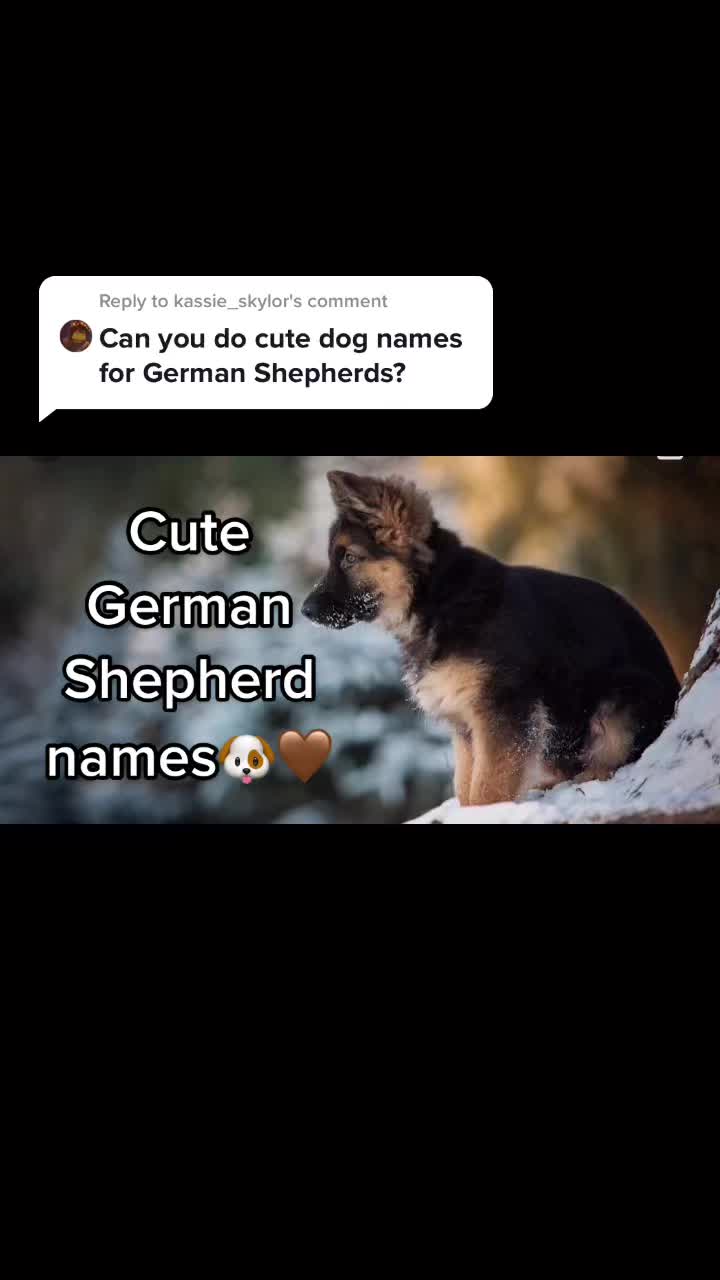 @Cute pet names