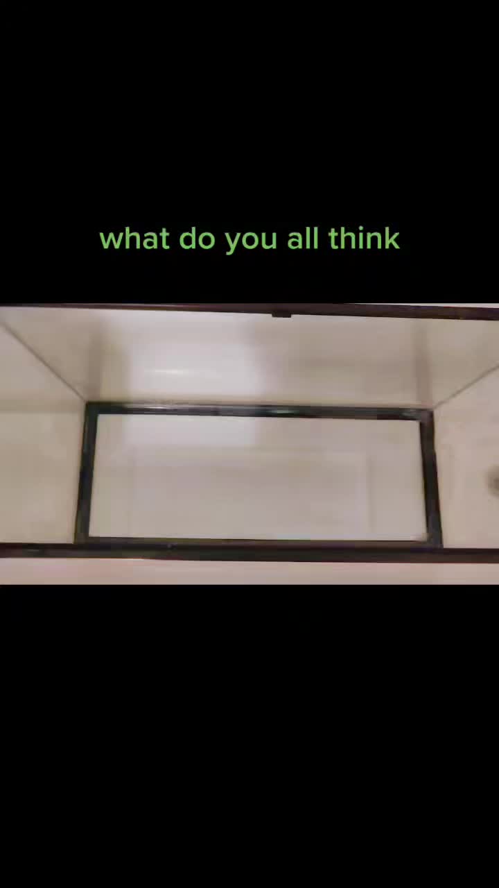 @WIreptiles