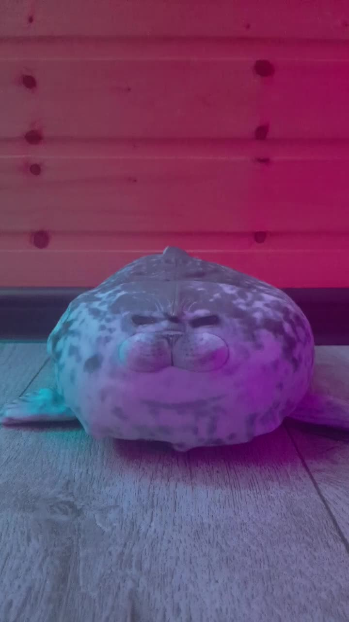 @drabekkk