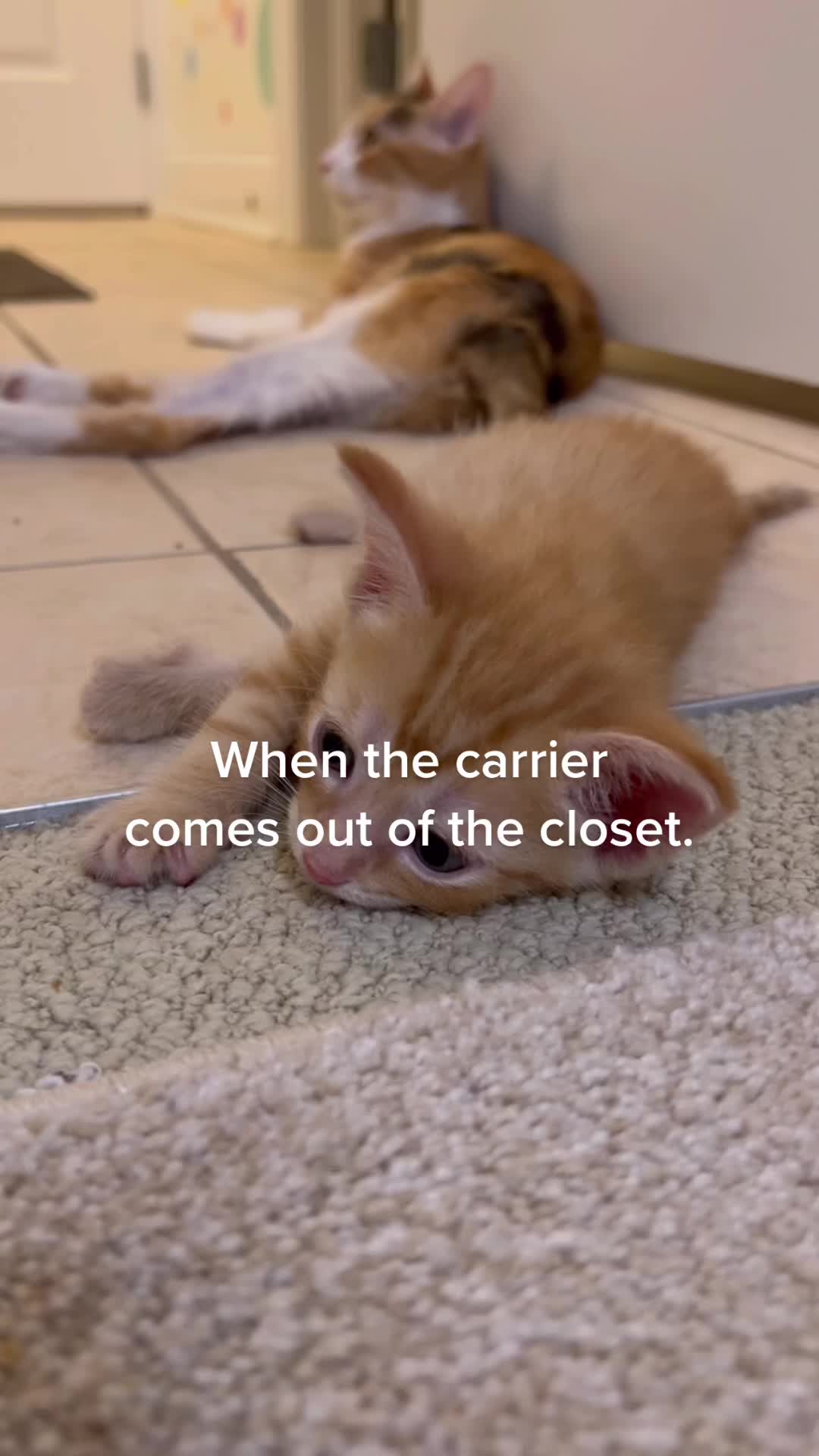 @WhatTheActualKaren