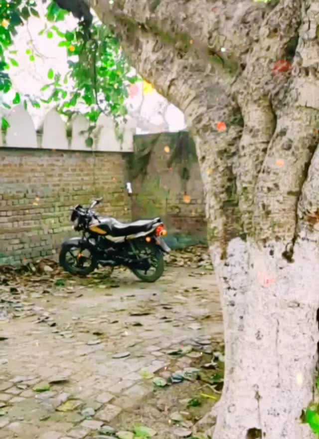 @user9665116189060