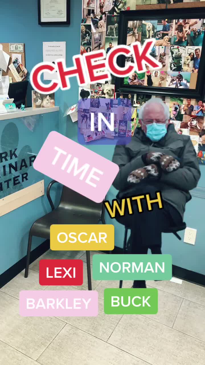 @Dr. Spencer J. Herman, DVM