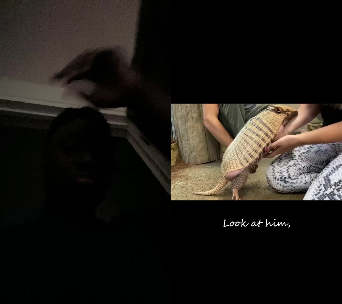 @samariwebb998