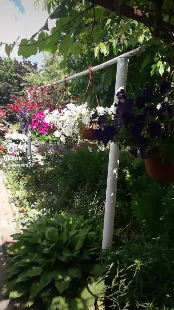 @Светлана Шахбалаева