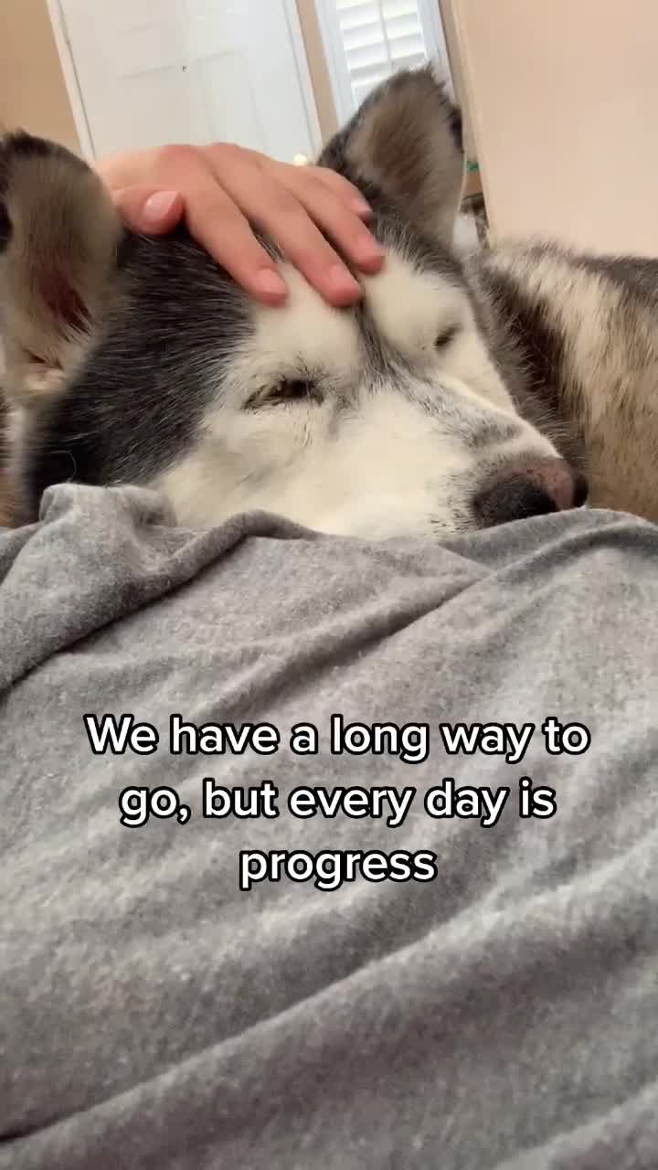@Ray of Hope Rescue