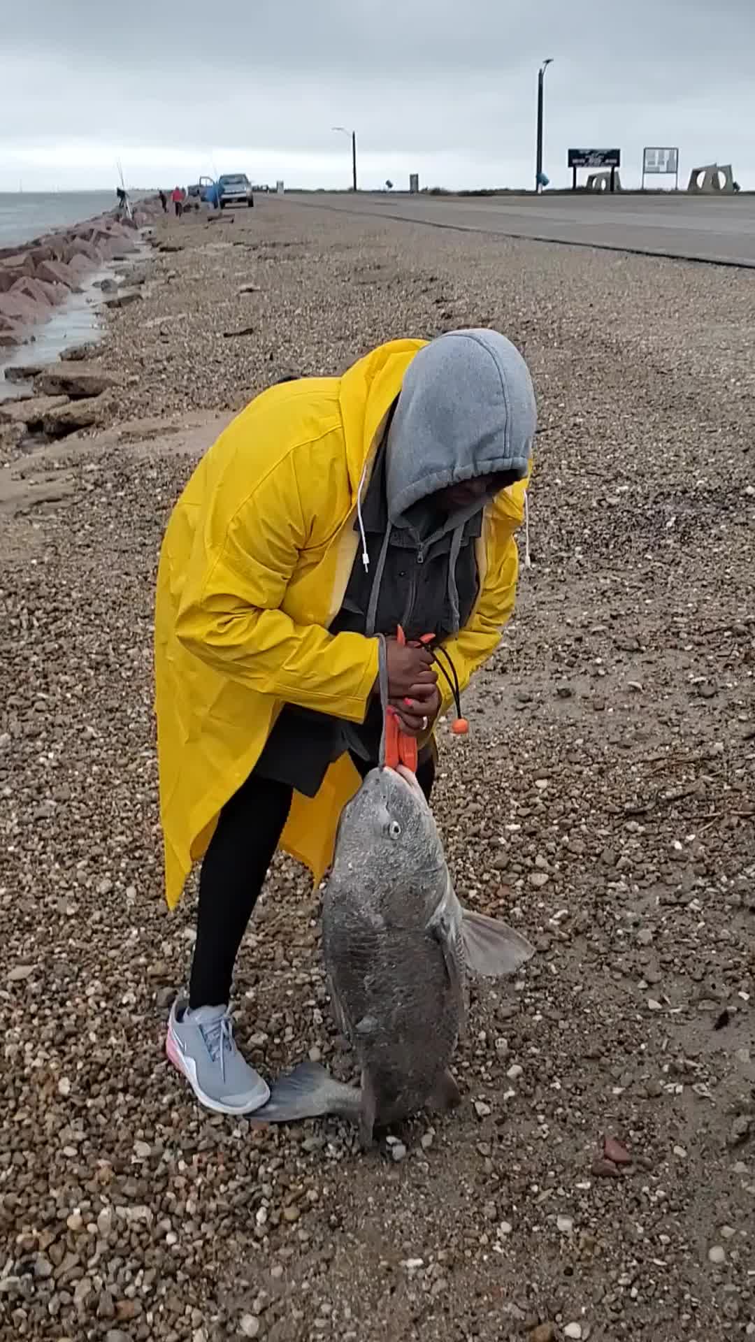 @LOW_BUDGET_FISHING
