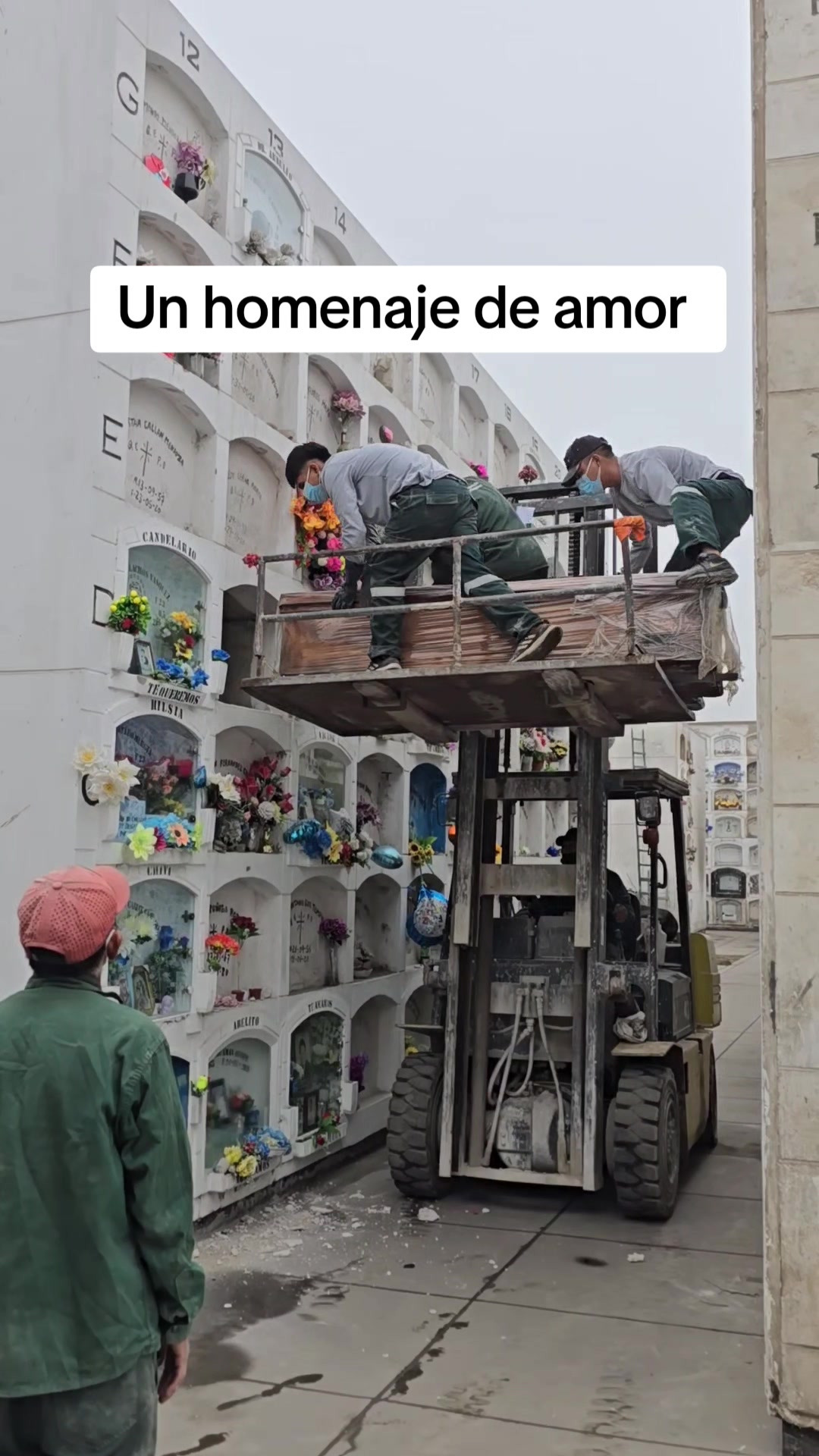 @Vida Perpetua Perú