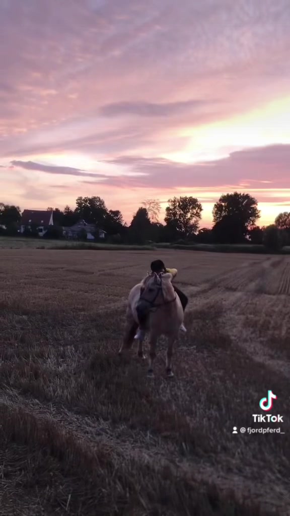 @Caro & Balou☀️
