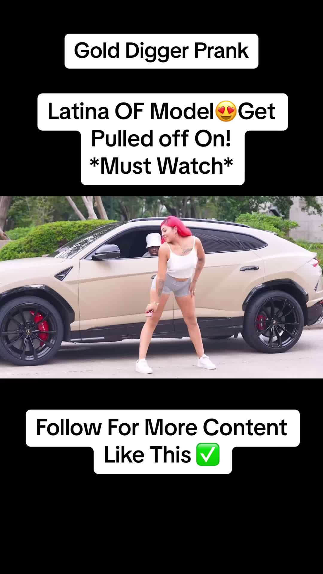 @Gold Diggers In 4k