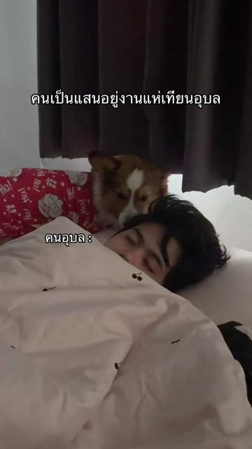 @♡⸝⸝ สปาย & ตอง