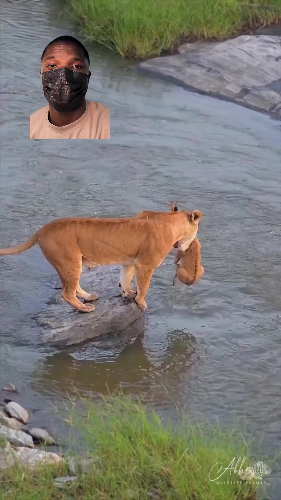 @Arojinle