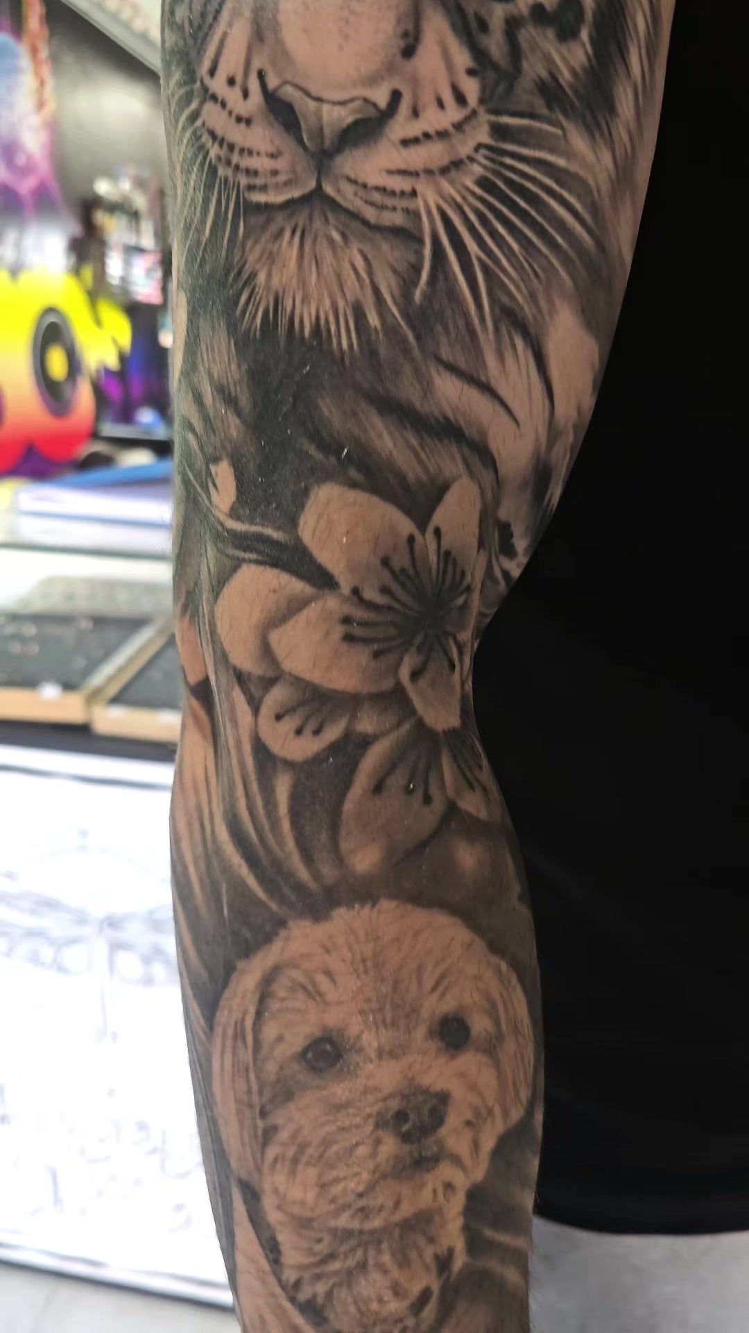 @Dragonfly Tattoo