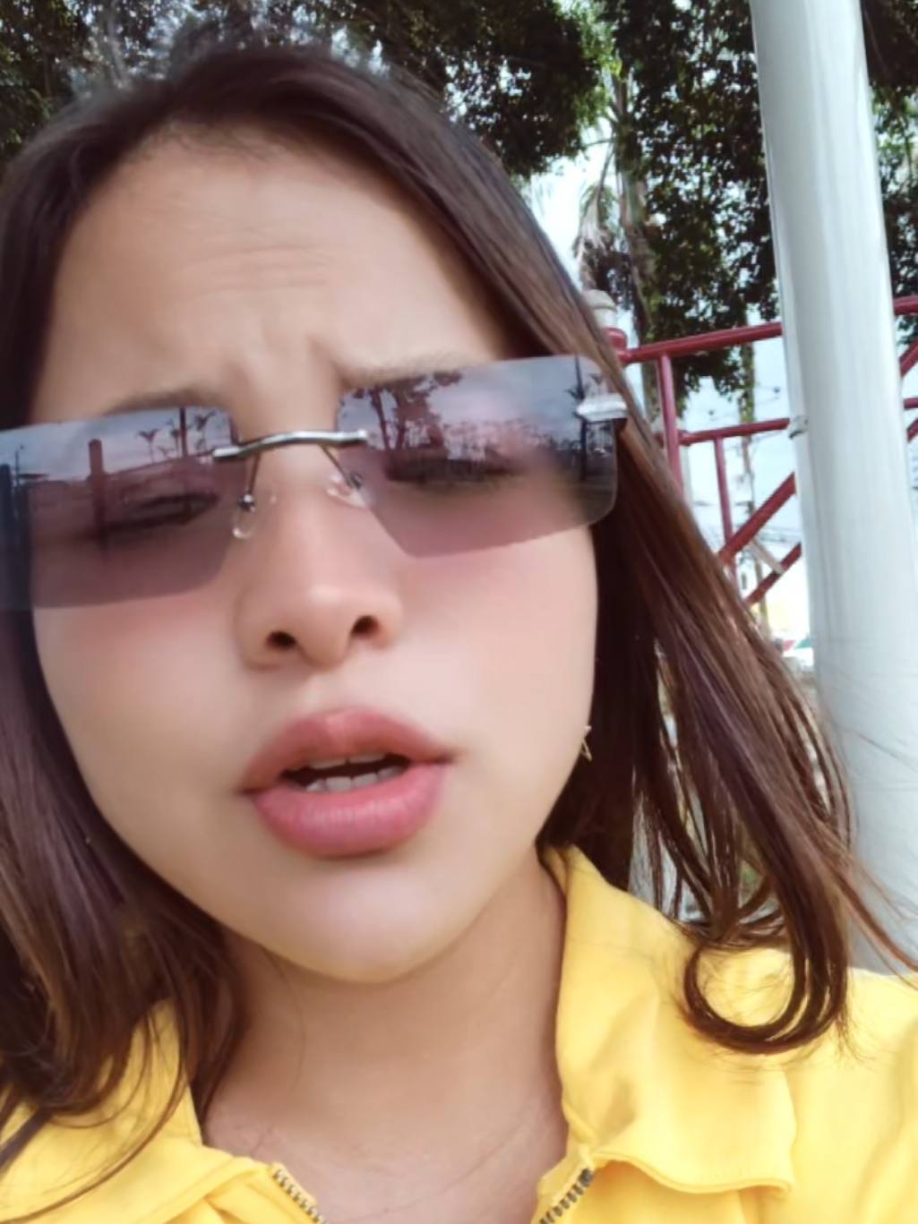 @Nelly te empez&oacute; a seguir 🌹