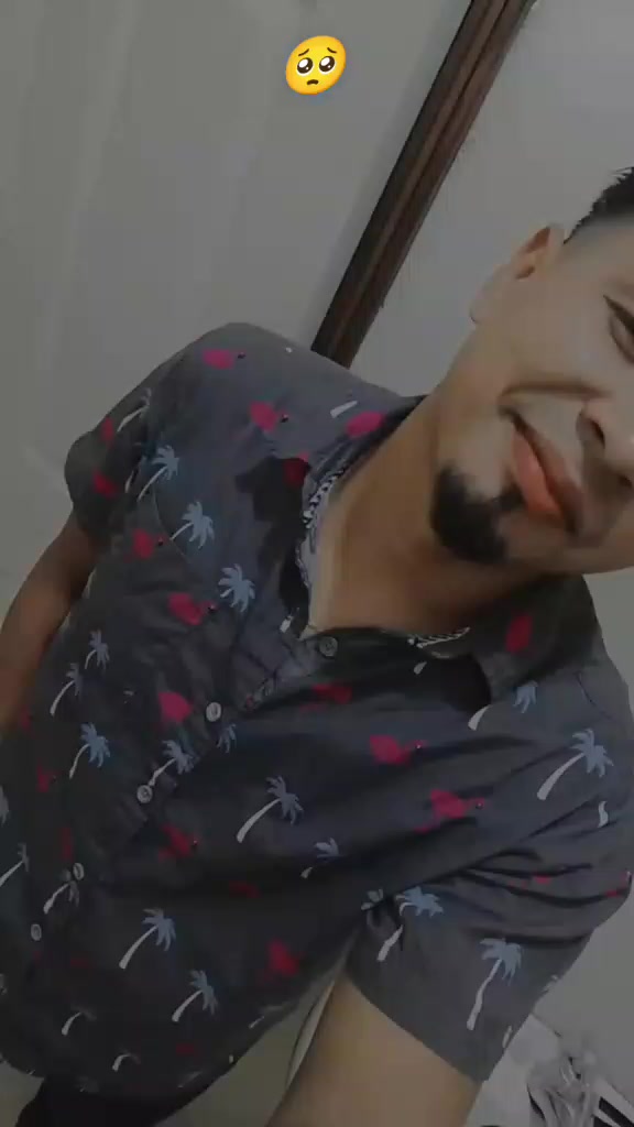 @Pollito 🐣 504