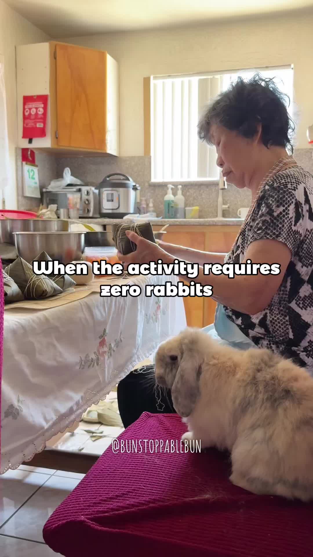 @BunBun, Mochi🌈, Chewy