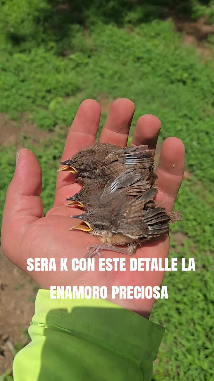@Alexander menjivar
