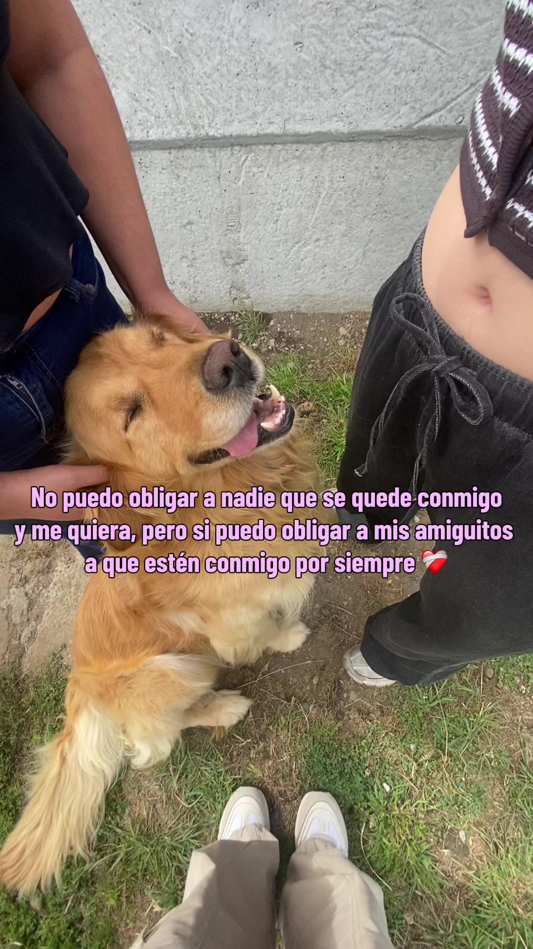 @lafeermiauu