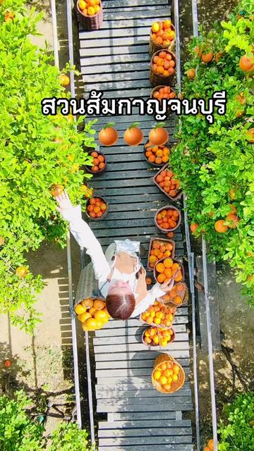 @เที่ยวกับแฟน🇹🇭🚗