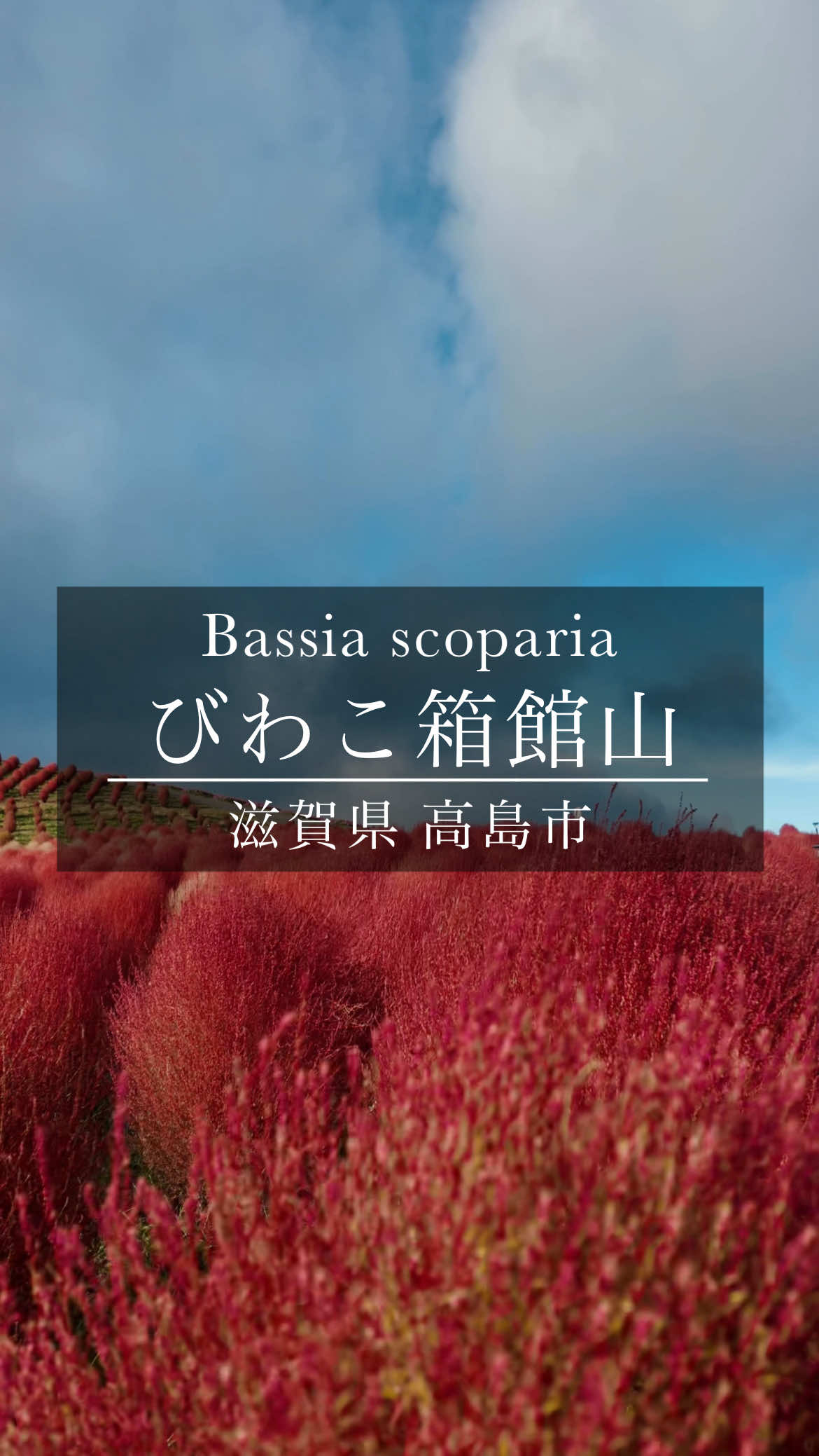 @tabi_momoka/観光•旅行