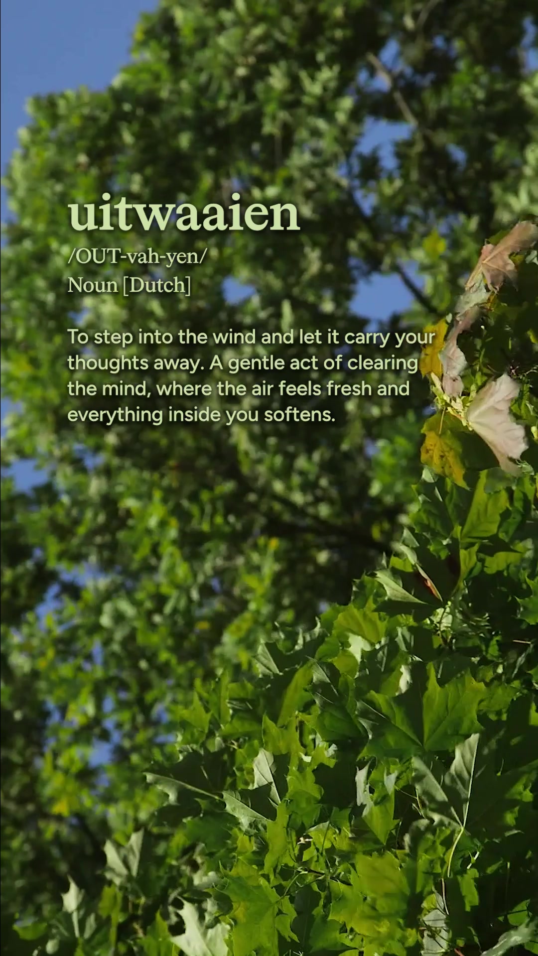 @Calm