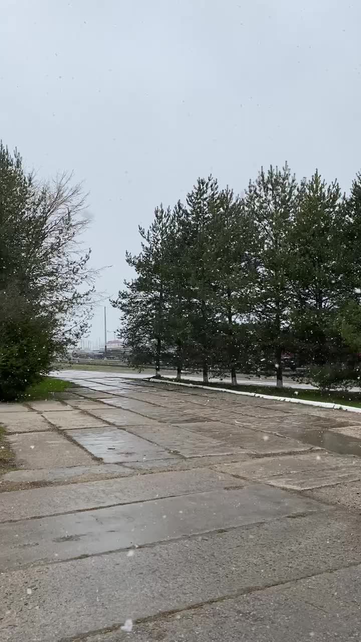 @pinazaroov.77