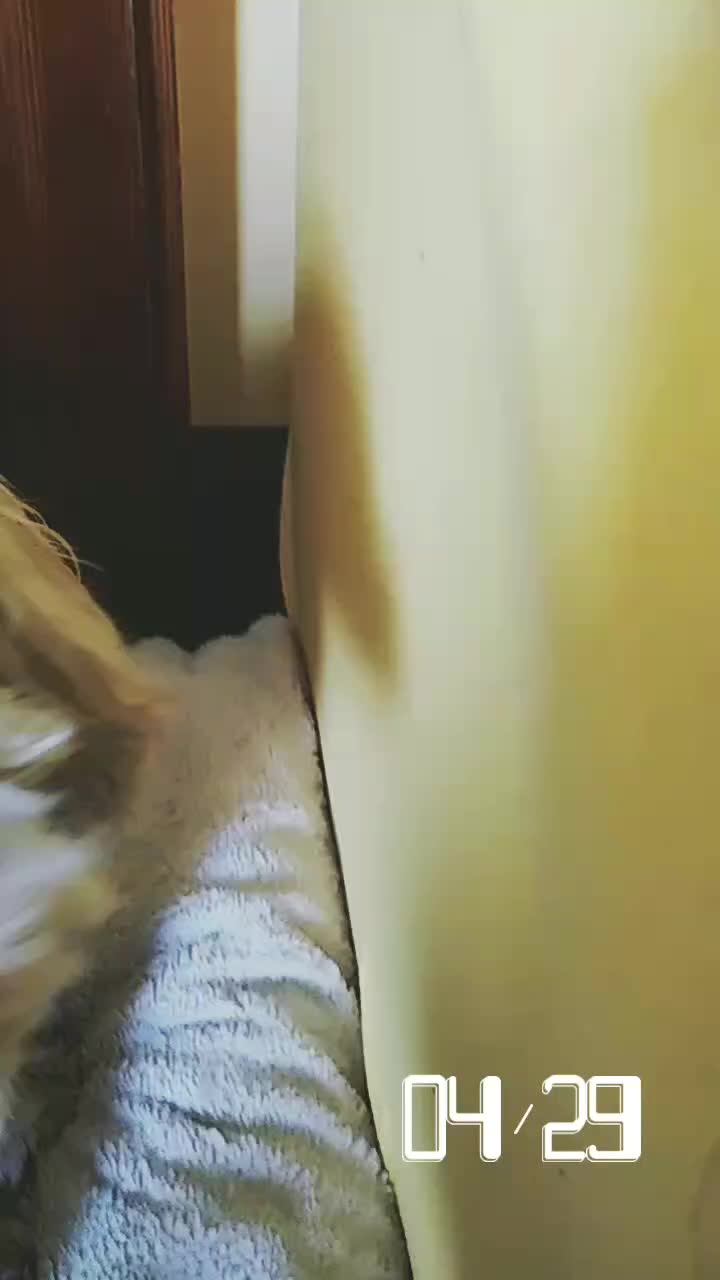 @archievida52