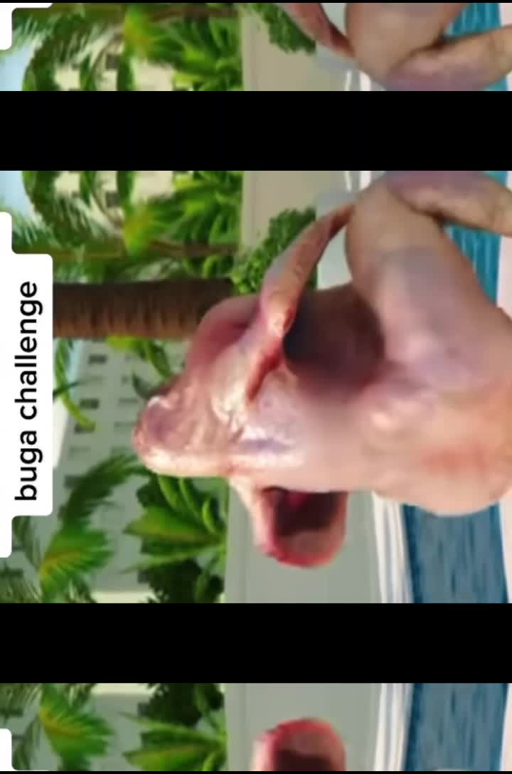 @hovi77729