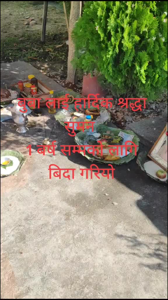 @Nita Sharma