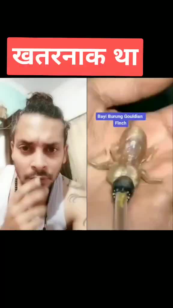@akash human