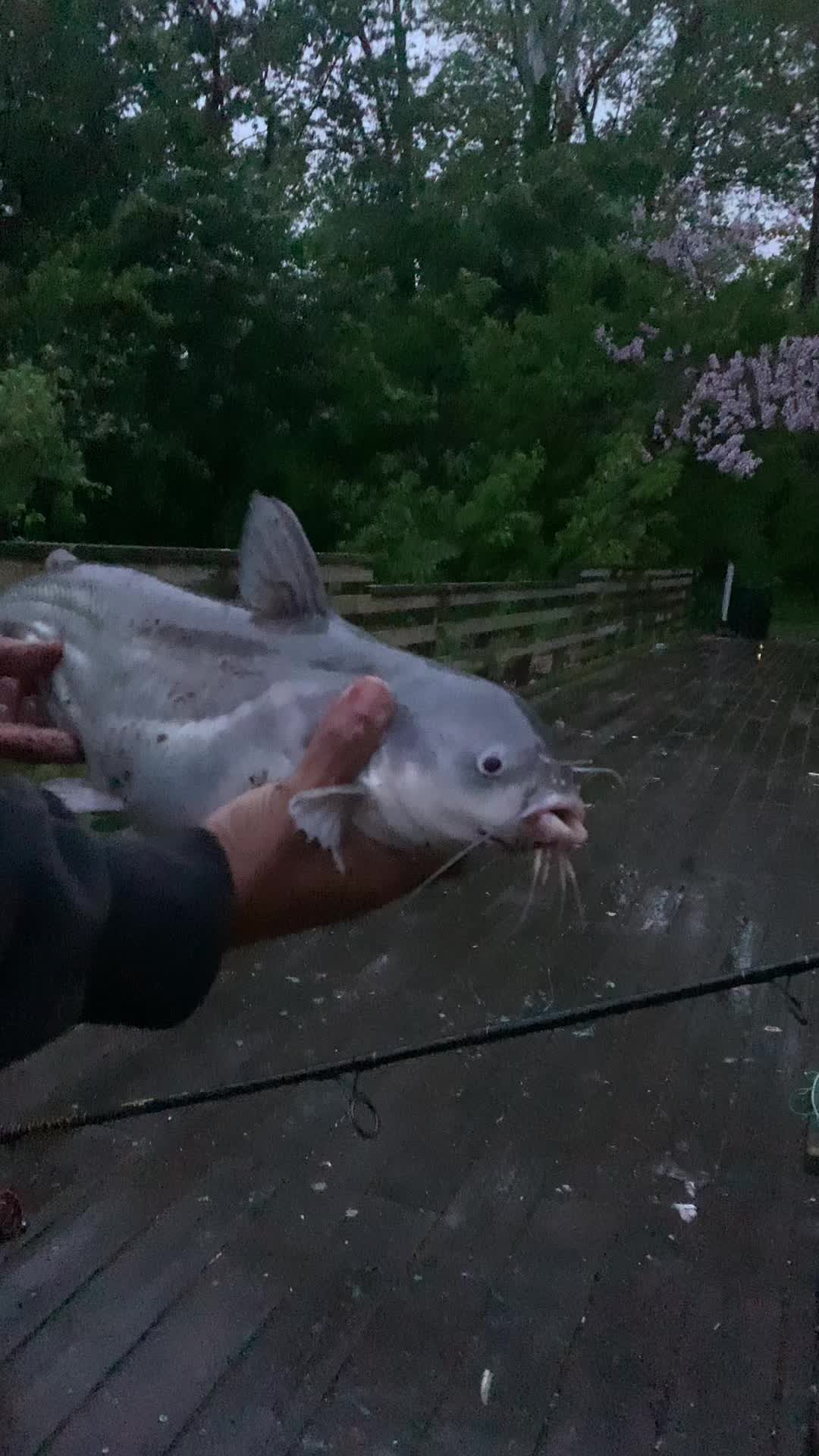 @FishBoyFlaco