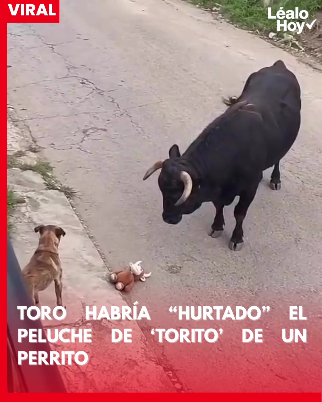 @lealoperiodico